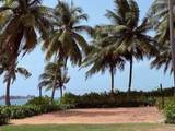 CARR 968 KM 1.8 Las Picuas Mameyes Continental Beach Resort - Photo 3