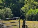 30630 Tyndall Road - Photo 4