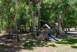 16224 Iola Woods Trail - Photo 60