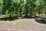 16224 Iola Woods Trail - Photo 62