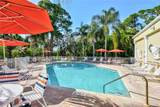 11117 Kapok Grand Circle - Photo 59