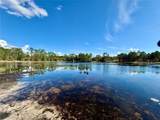 41180 Balsam Street - Photo 48