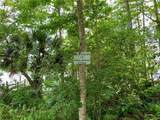 41180 Balsam Street - Photo 53