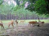 272 County Road 337 - Photo 11