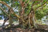 708 Tamiami Trail - Photo 40