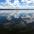 7970 Bannon Fish Camp Road - Photo 40