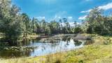 7970 Bannon Fish Camp Road - Photo 41