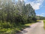 30 Amaryllis Drive - Photo 13