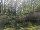 30 Amaryllis Drive - Photo 14