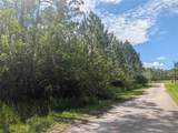 30 Amaryllis Drive - Photo 15