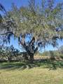 8946 Old Pasco Road - Photo 69