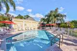 11117 Kapok Grand Circle - Photo 58