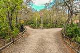 2831 Sand Pine Trail - Photo 13