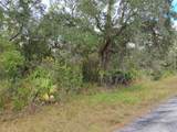 LOT 29 Shore Drive - Photo 7