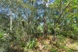 0024 Guava Pass Drive - Photo 19