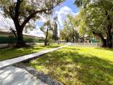 2102 Caracas Street - Photo 39