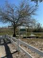 26625 Bimini Drive - Photo 31