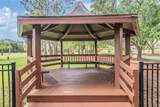10003 Vista Pointe Drive - Photo 38