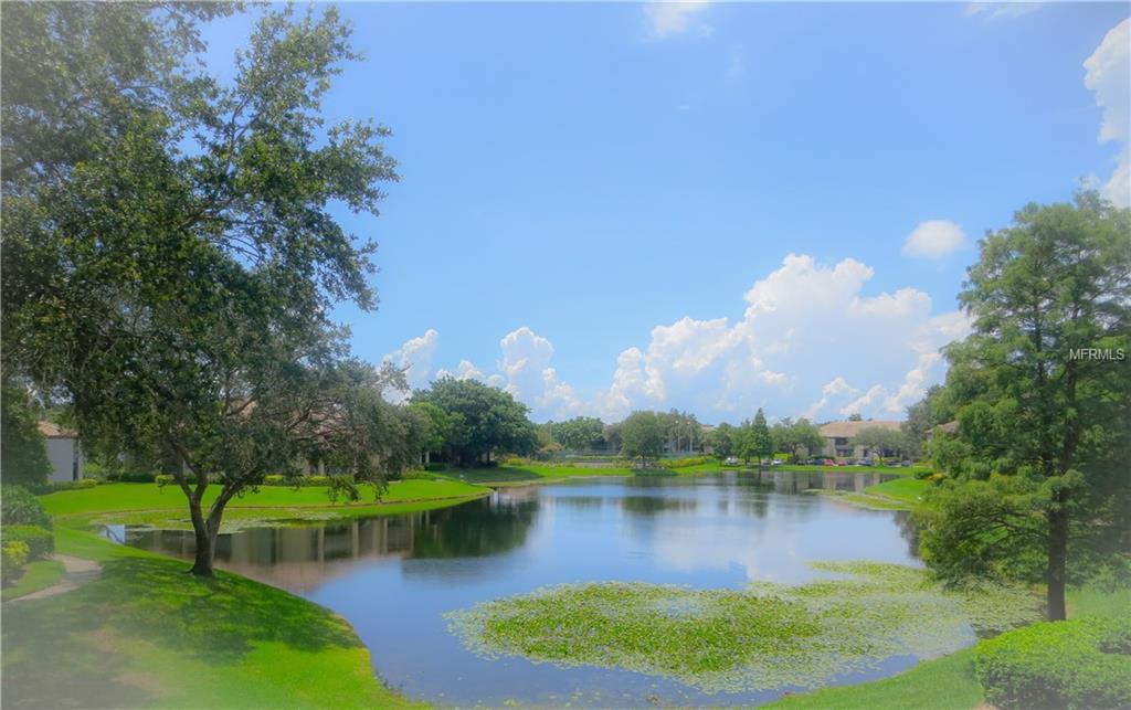 10265 Gandy Boulevard - Photo 1