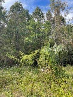 LOT 2 Markham Woods Road - Photo 1