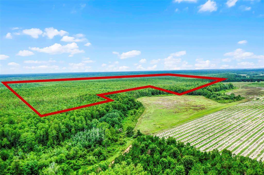  Boggy Marsh Road - Photo 1