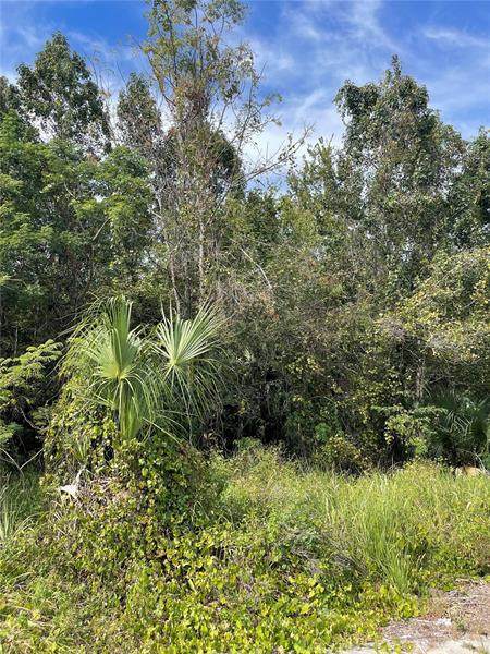 LOT 2 Markham Woods Road - Photo 1