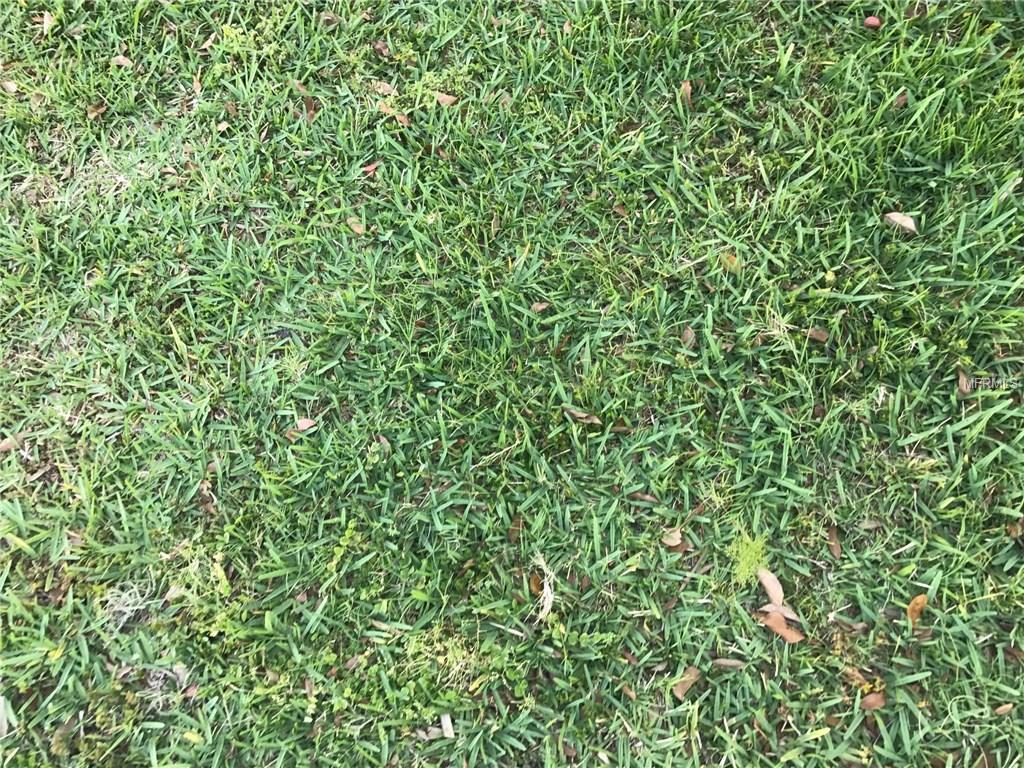 Mattox Circle - Photo 1