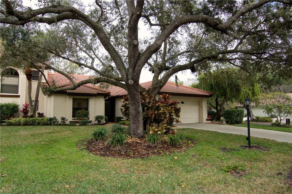 7204 Oak Moss Drive - Photo 1