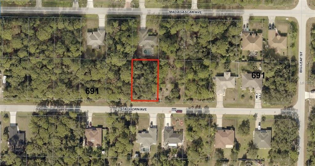 0956069119 Staghorn Avenue - Photo 1