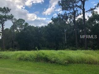 17806 Morgan Hammock Court - Photo 1