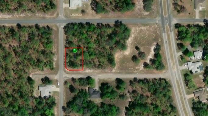 455 Macon Lane - Photo 1