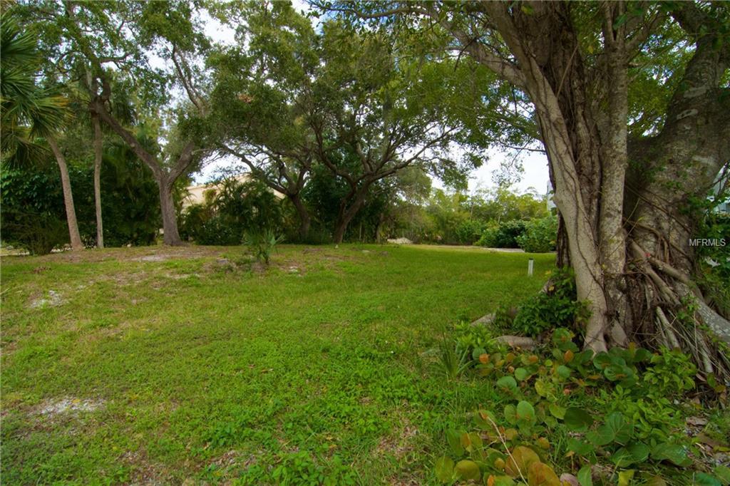 728 Tropical Circle - Photo 1