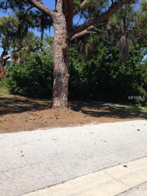 635 Jungle Queen Way - Photo 1