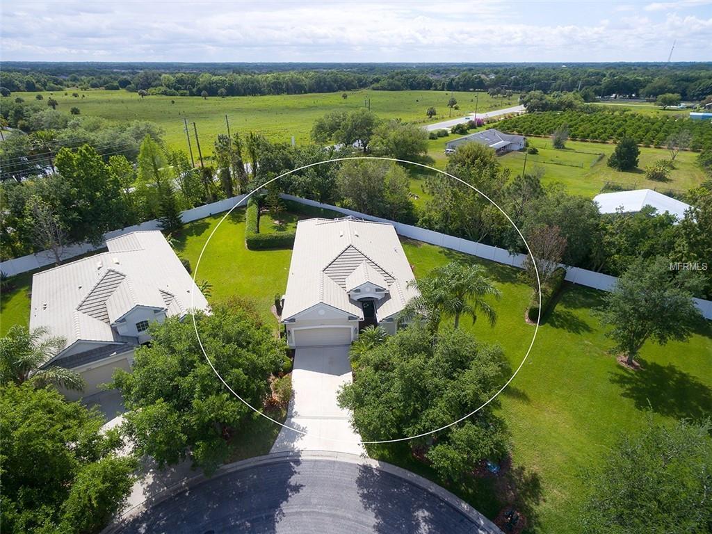 12135 Maple Ridge Drive - Photo 1