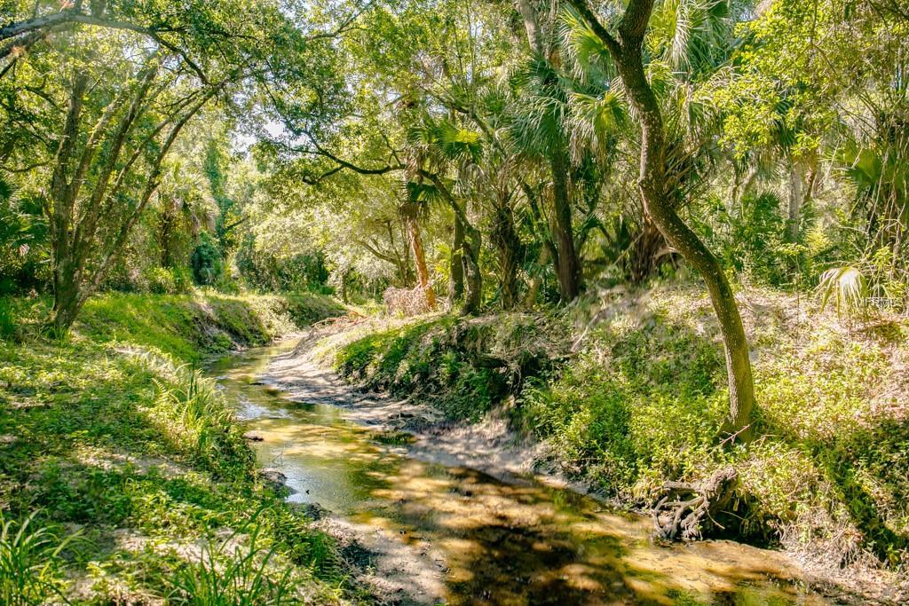 5243 Myakka Valley Trail - Photo 1