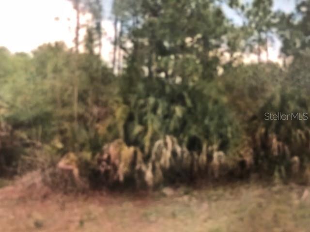 Whiptree Circle - Photo 1