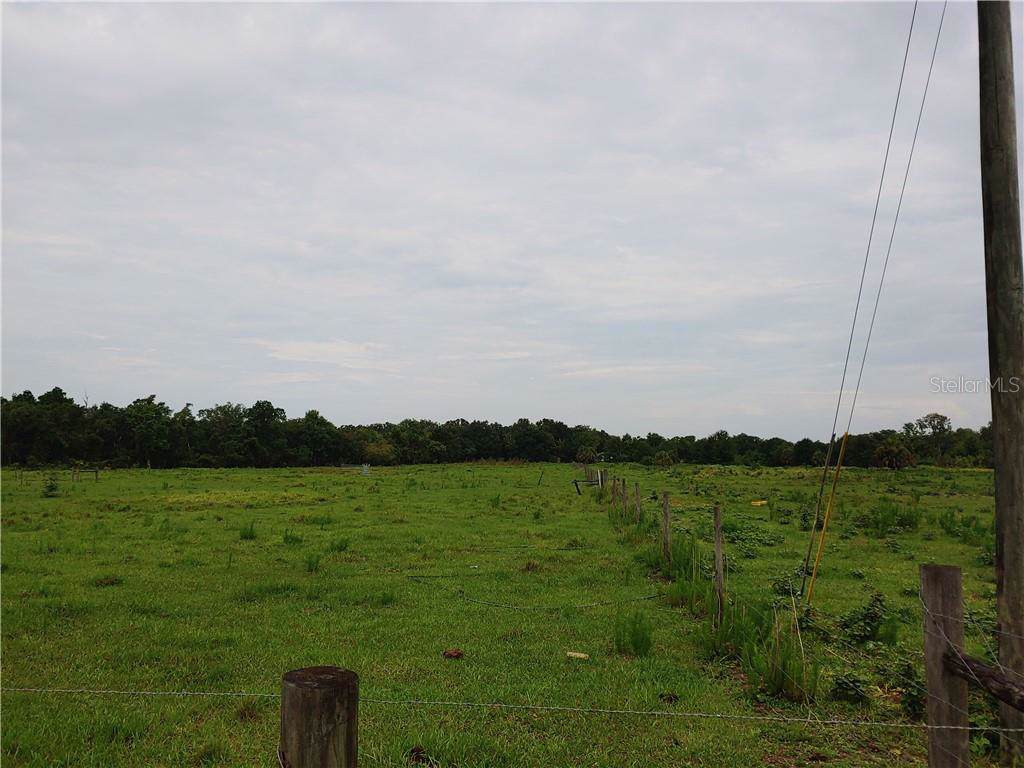 1317 Martha Street - Photo 1