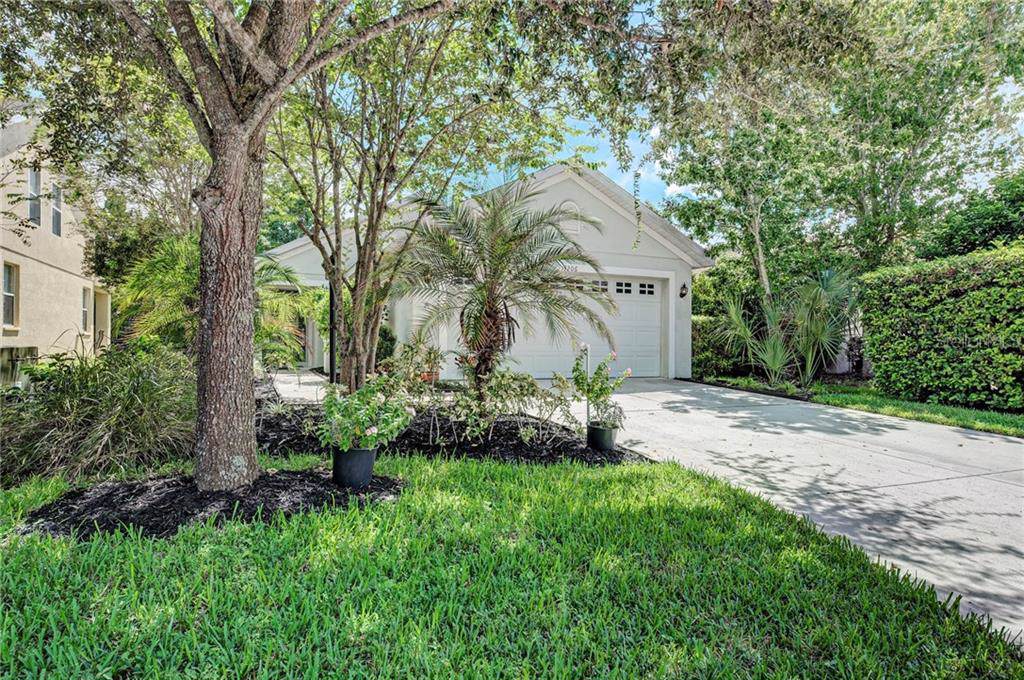 14206 Tree Swallow Way - Photo 1