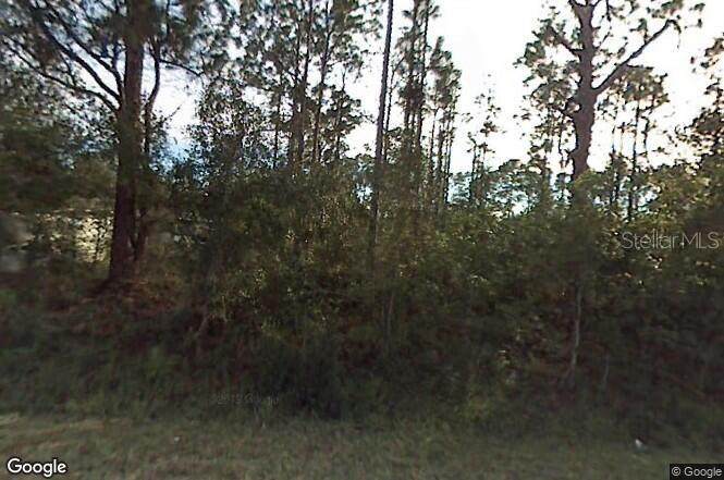 12625 94TH Street - Photo 1