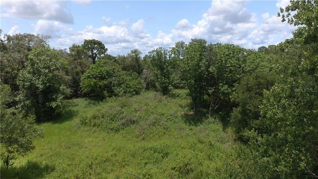 4241 Homewood Lane - Photo 1