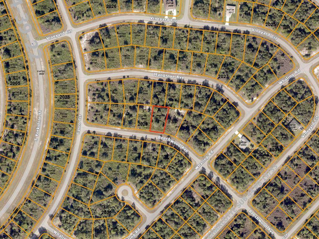 Beechwood Avenue - Photo 1