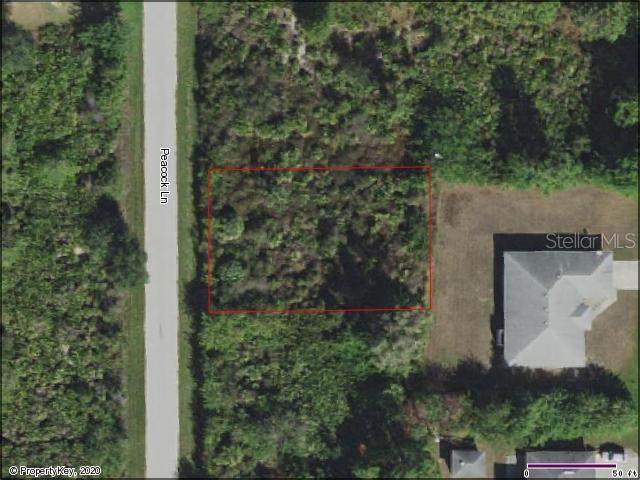7054 Peacock Lane - Photo 1