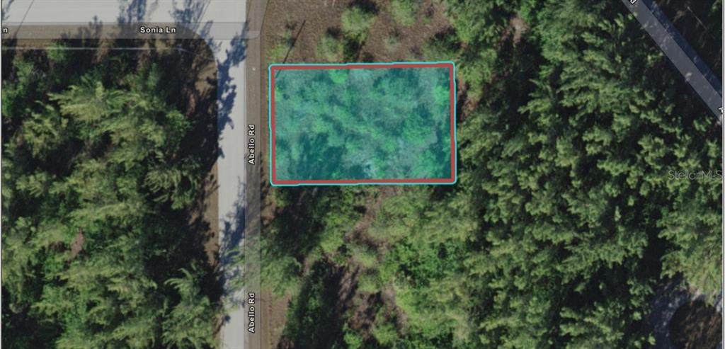 10277 Abello Road - Photo 1