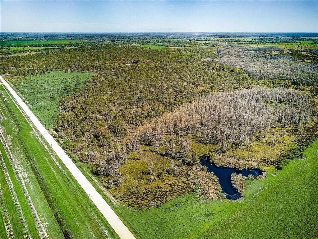 4134 Fish Branch Road - Photo 1