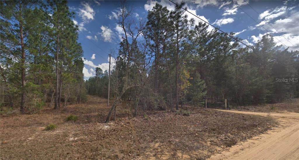 5701 Cactus Hill Drive - Photo 1