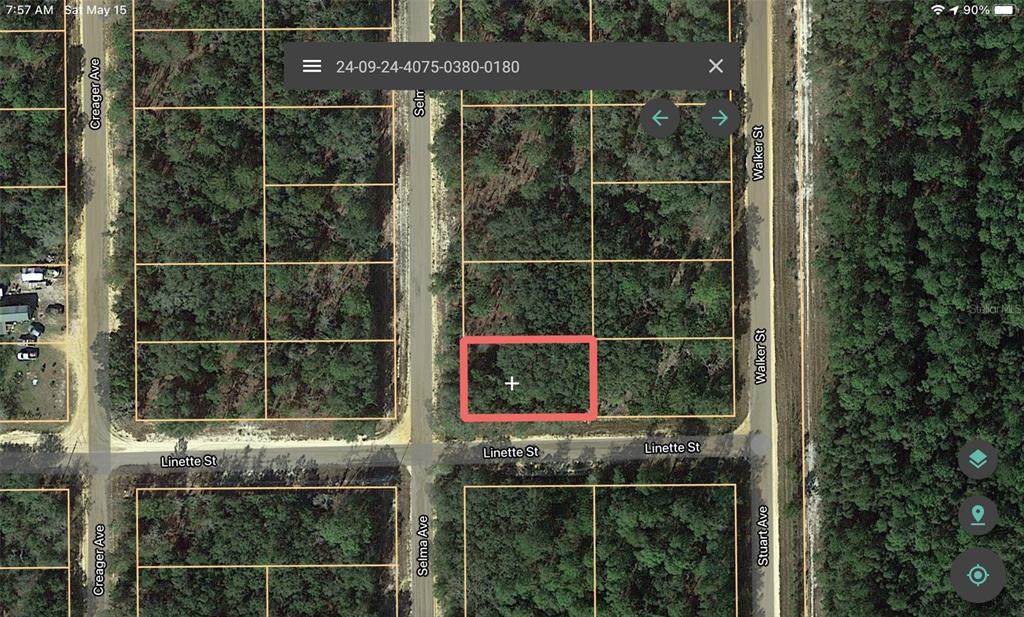 804 Selma Avenue - Photo 1