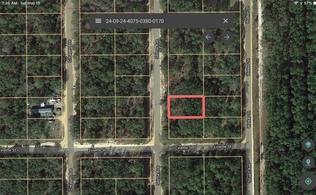 802 Selma Avenue - Photo 1