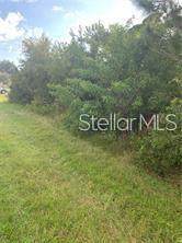 10317 Gulfstream Boulevard - Photo 1