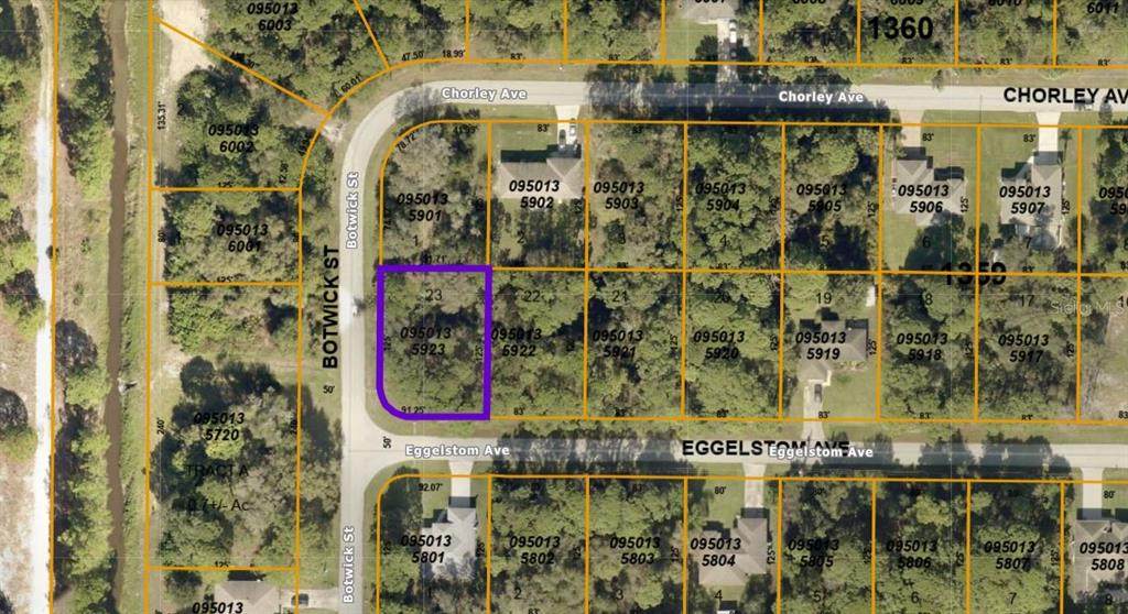 0950135923 Eggelstom Avenue - Photo 1
