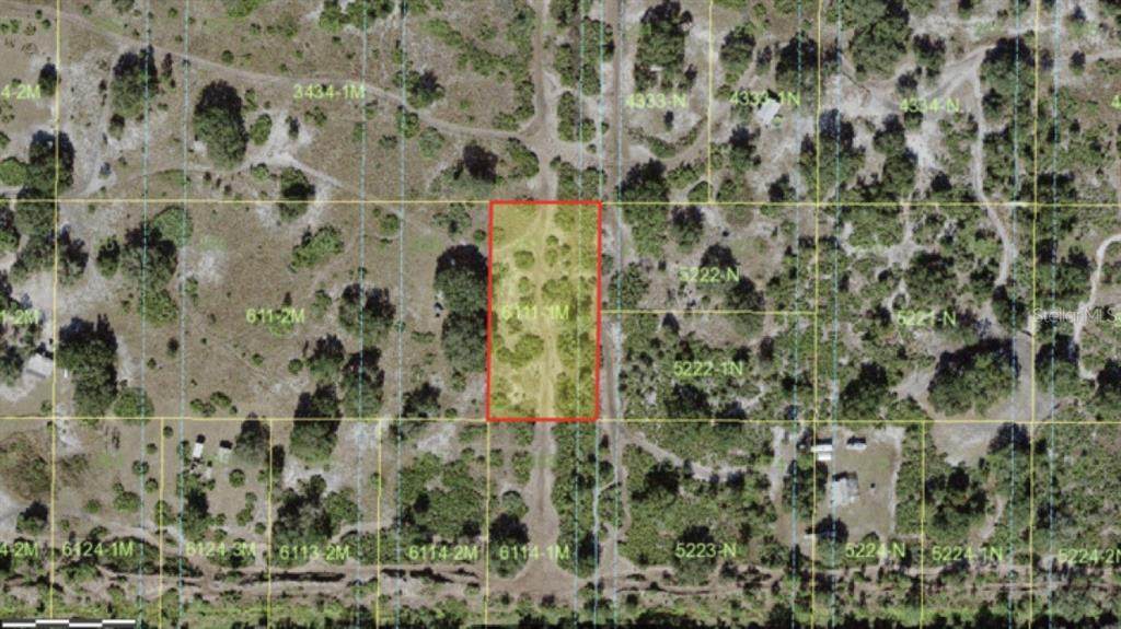Holopaw Groves Road - Photo 1